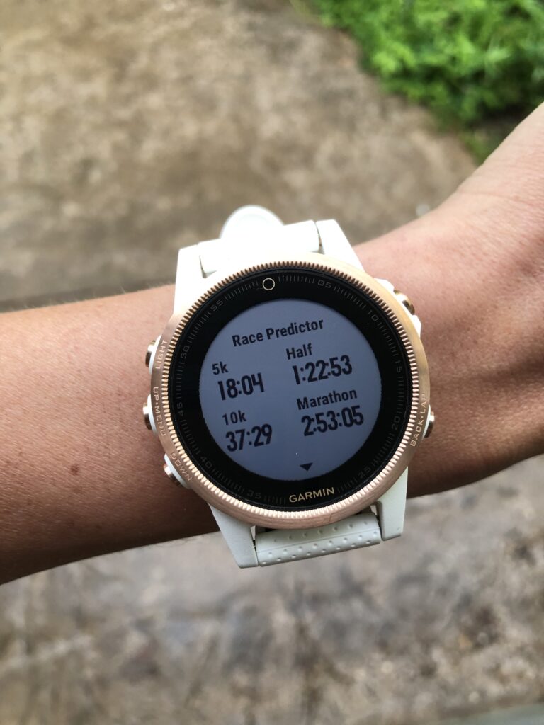 Garmin fenix 5s sapphire rose sale